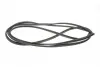 Ущільнювач скла лобового MB Sprinter/VW LT 96-06 TRUCKTEC 0150018 (фото 3)