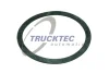 Кольцо уплотнительное TRUCKTEC 0215020 (фото 1)