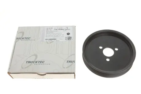 Шків насосу ГПК MB Sprinter CDI-TDI 96-06 TRUCKTEC 0219256