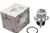 Помпа води VW T5/Caddy 1.9TDI/2.0SDI 03- (1210.07) TRUCKTEC 07.19.054 (фото 1)
