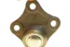 Опора кульова (передня/знизу/R) Audi A3/VW Golf IV 1.4-2.8 96-06 TRUCKTEC 07.31.046 (фото 2)
