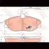 Колодки тормозные, комплект TRW GDB1259 (фото 2)