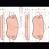 Колодки тормозные, комплект TRW GDB1746 (фото 2)