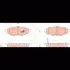 Колодки тормозные, комплект TRW GDB3373 (фото 2)