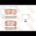 Колодки тормозные, комплект TRW GDB3636 (фото 1)