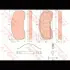Колодки тормозные, комплект TRW GDB5073 (фото 2)