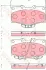 Колодки тормозные, комплект TRW GDB7049 (фото 1)