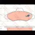Колодки тормозные, комплект TRW GDB897 (фото 2)