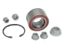 Wheel Bearing Kit. Комплект подшипника ступицы колеса VAG 1H0498625 (фото 1)