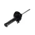 Shock absorber. Амортизатор VAG 1K0413031BK (фото 1)