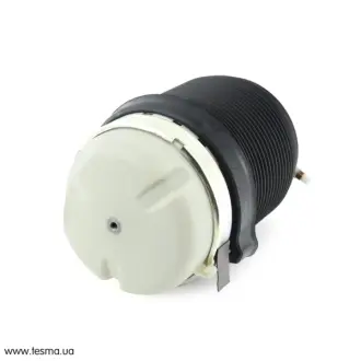 Пневмобалон Audi A6/Allroad (05-11) зад. (x2) VAG 4F0616001J