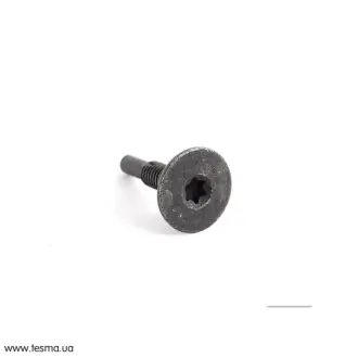 Гвинт з внутрiшньою головкою VAG 6N0807199