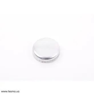Заглушка ГБЦ VAG N0119017