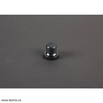 Заглушка нарізна VAG N0160243