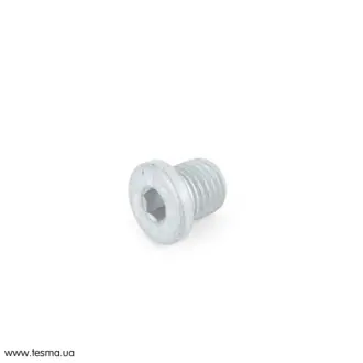 Заглушка нарiзна кронштейна VAG N0160255