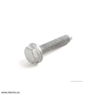 Болт з шестигранною голівкою VAG N0195315