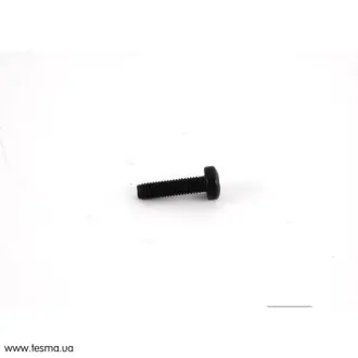 Гвинт саморiз VAG N10285301