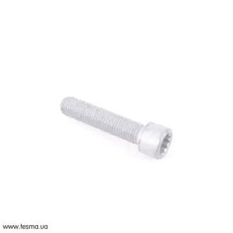 Болт з внутрiшнiм багаторанн VAG N10451302
