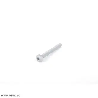 Гвинт з плоскою голівкою М6-50 VAG N10470703