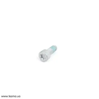 Гвинт саморіз VAG N10546404