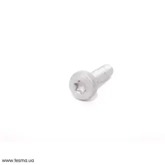 Гвинт с внутрішнім TORX М6-22 VAG N10700201
