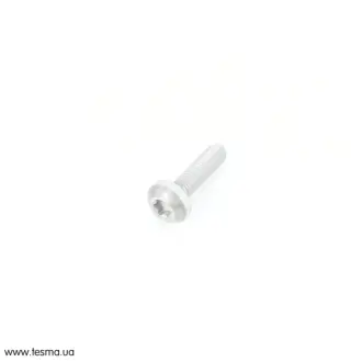 Болт з головкою системи TORX з чорного металу VAG N10745301