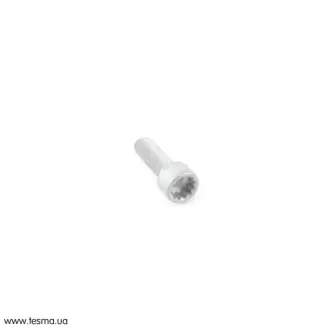 Болт шківа колінвалу Audi Q5/Q7/VW Touareg 03-18 VAG N91005902