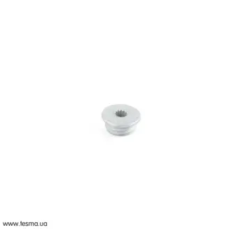 Пробка різьбова VAG N91038002