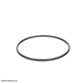 Кільце ущільнююче 96X4 VAG N91095601