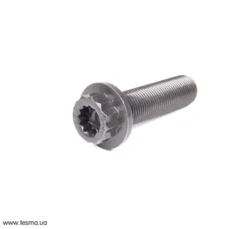 Болт з головкою системи TORX з чорного металу VAG WHT004573