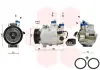 Компресор кондиціонера AUDI (Van Wezel) VAN WEZEL 0300K029 (фото 1)