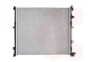 Радіатор охолодження двигуна BMW X5 G05 11/18+ (Van Wezel) VAN WEZEL 06012765 (фото 1)