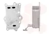 Радіатор масляний CHEVROLET CRUZE 5-09 14 (вир-во Van Wezel) VAN WEZEL 07003143 (фото 1)