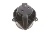 Моторчик пічки Nissan Primastar/Opel Vivaro/Renault Trafic 1.9-2.5 dCi 01- VAN WEZEL 3794774 (фото 2)