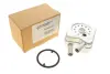 Радиатор масляный VARIOUS AUDI/FORD/SEAT (Van Wezel) VAN WEZEL 58003147 (фото 1)