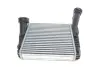 Радіатор інтеркулера Audi Q7 3.0/4.2TDI 06-15/VW Touareg 2.5/3.0TDI 03-18 (R) VAN WEZEL 58004263 (фото 1)