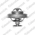 Термостат Peugeot 305 1.9 D 82-88/ J5 1.9 D 90-94 (89C) VERNET TH494589J (фото 1)