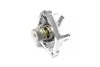 Термостат NISSAN Maxima QX 2.0, INFINITI FX35 (вир-во Vernet) VERNET TH686082 (фото 4)