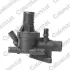 Термостат Nissan Qashqai I II/ X-Trail I II III / Ren Fluence (вир-во Vernet) VERNET TH7438.85 (фото 1)