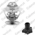 Термостат з фланецем FORD; MAZDA (вир-во Vernet) VERNET THK575010.92J