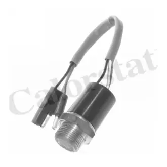 Radiator fan temperature switch. Датчик температуры вентилятора охлаждающей жидкости VERNET TS1956