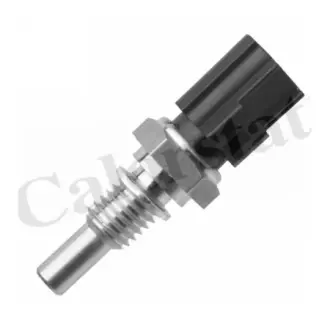 Датчик температури рідини VERNET WS3066