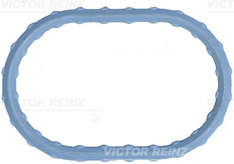 Прокладки колектора впускного VICTOR REINZ 711749800