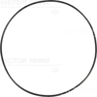 Прокладка. крышка головки цилиндра VICTOR REINZ 713769100