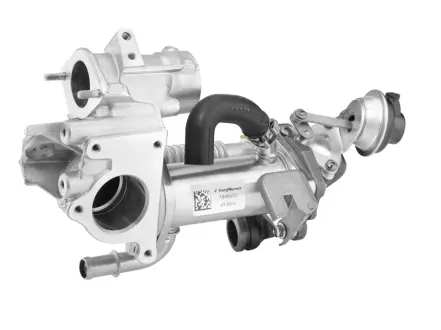 Клапан EGR WAHLER 790965D