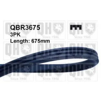 V-belt, ribbed. Ремень поликлиновый WIX FILTERS QBR3675