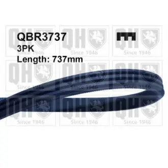 V-belt. Ремень клиновый WIX FILTERS QBR3737