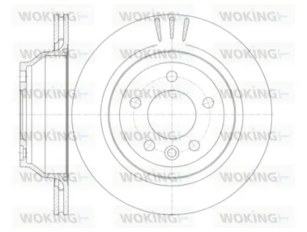 Диск гальмівний задній (кратно 2) (вир-во Remsa) VW T5 >10 (D61160.10) WOKING D6116010