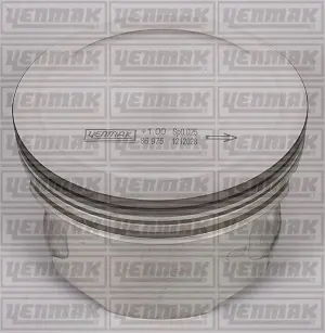 Поршень с кольцами і пальцем (размер отв. 86,50/+0,5) OPEL ASTRA G 2.2 -05 (4цл.) (Z 22 SE) бензин YENMAK 3104221050