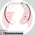 Колодки тормозные, комплект ZIMMERMANN 109901542 (фото 1)